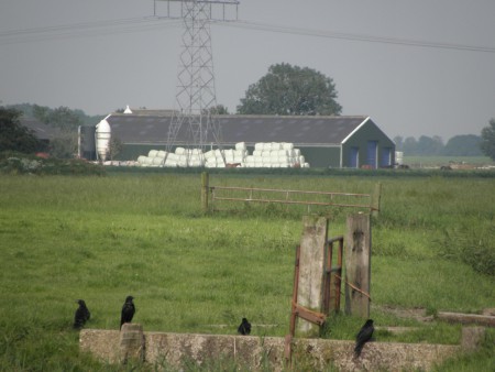 Foto van de omgeving
